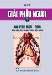 Giải phẫu người T2